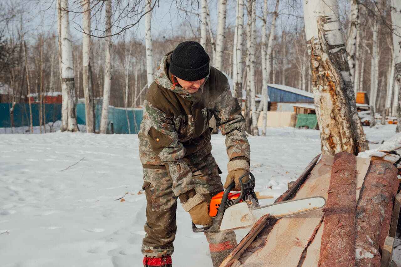 Residential Tree Removal in Litchfield, MN